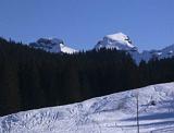 12  ...und im Hintergrund die schoenen Berge